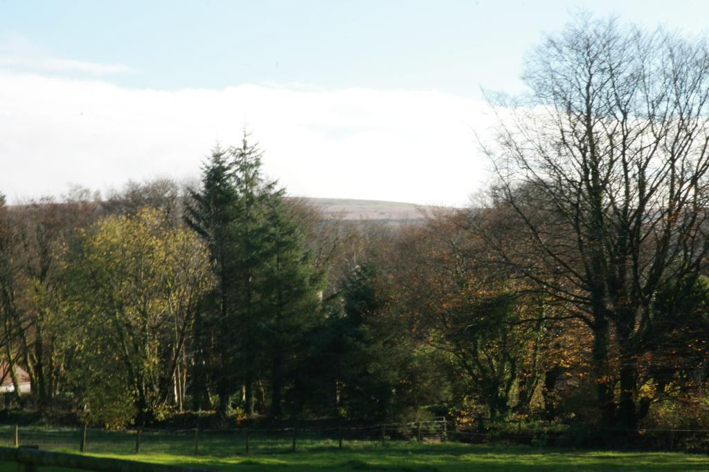 Lydford House 호텔 외부 사진